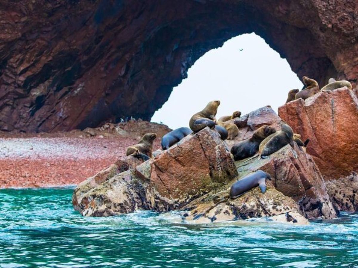 Ecoturismo en el Peru