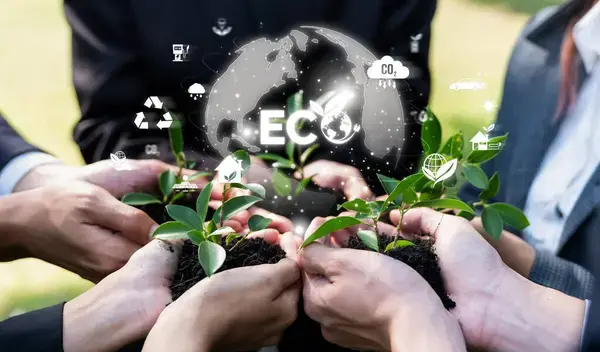 creación de la empresa verde