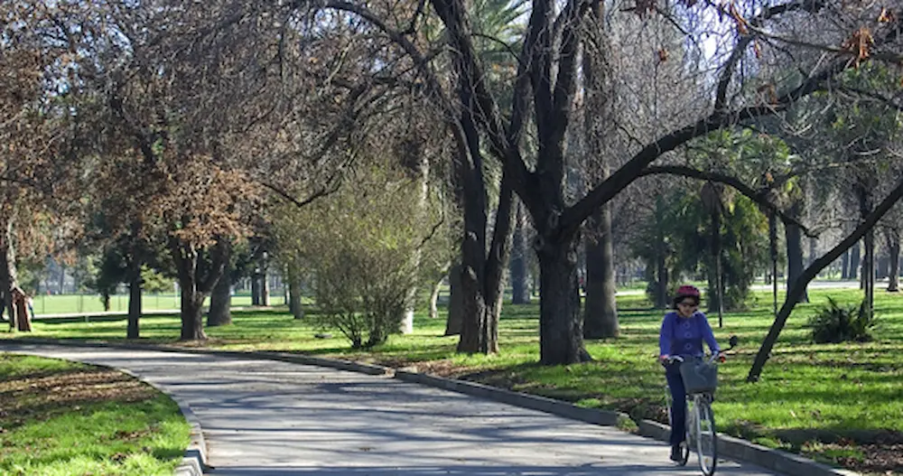 propuestas para cuidar el medio ambiente