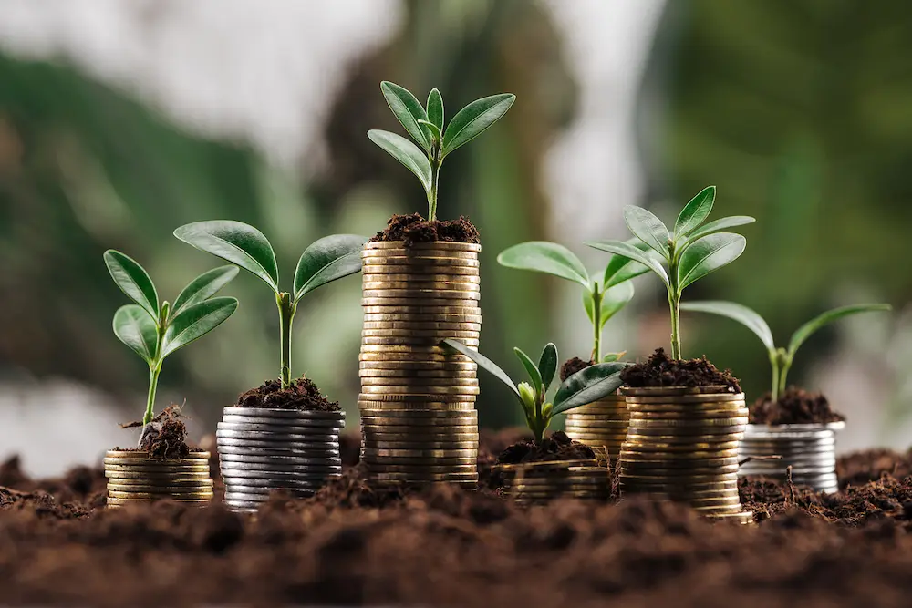 Finanzas sostenibles