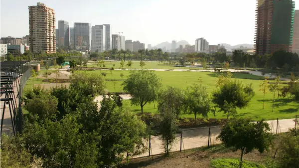 propuestas medio ambiente candidatos municipales