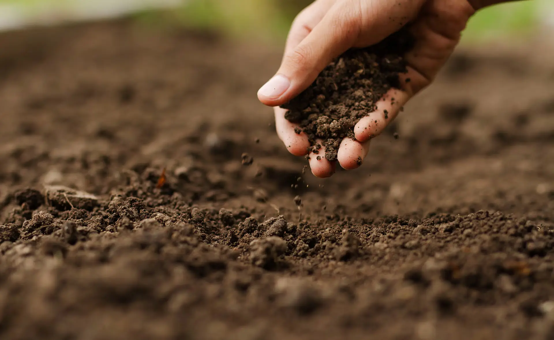 Agroquímicos Su rol y desafíos en la sostenibilidad