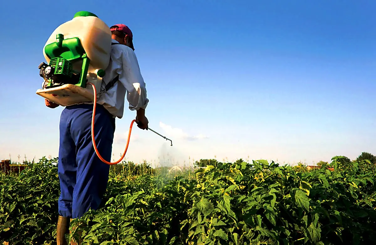Innovación en agroquímicos sostenibles