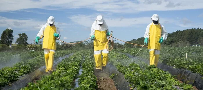 Prácticas responsables en el uso de agroquímicos