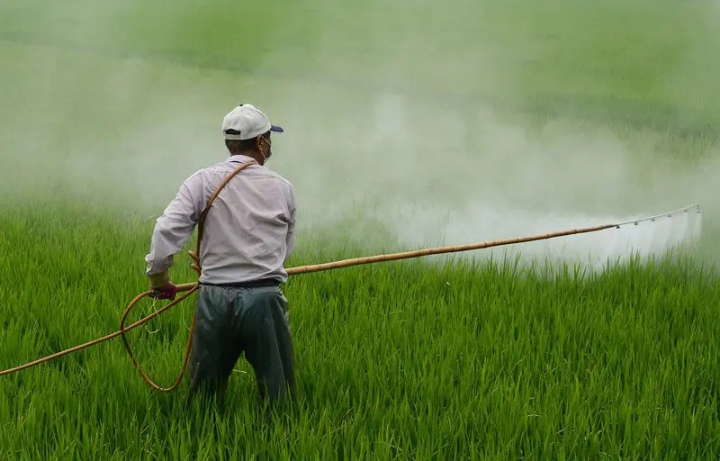 Qué son los agroquímicos y por qué se utilizan