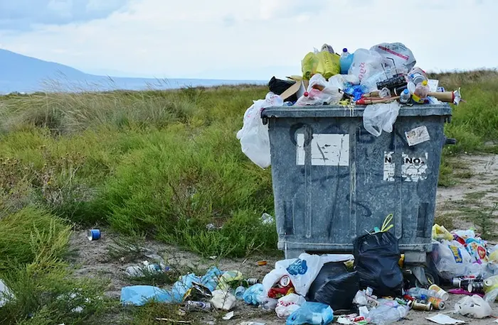 ¿Qué es lo que más se desecha