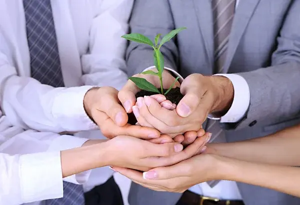Manos sosteniendo una planta. Responsabilidad social en las inversiones sostenibles