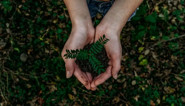 dia mundial del reciclaje