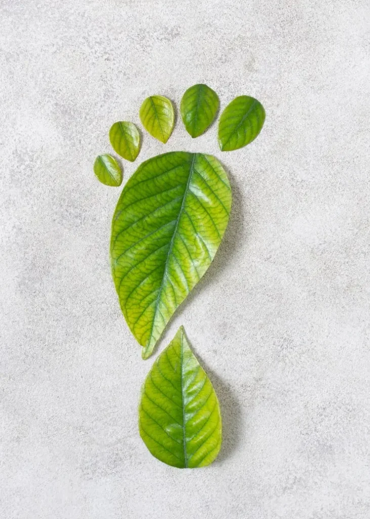 educación ambiental en Chile