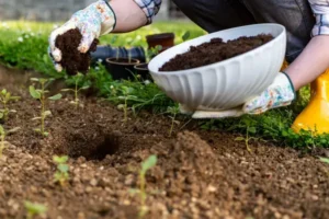 Dónde usar tu compost casero