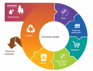Cómo integrar economía circular en los procesos empresariales