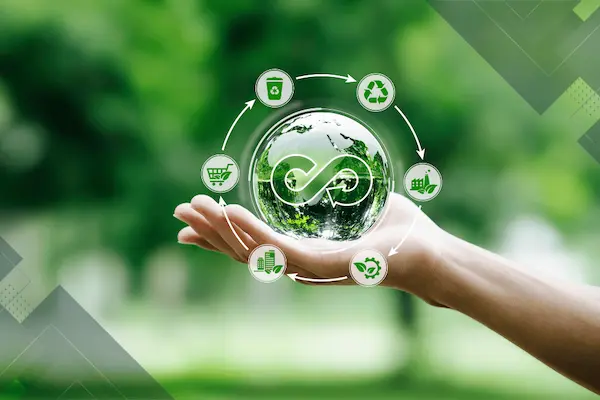 Economía circular en acción: cómo las empresas pueden generar valor sin contaminar