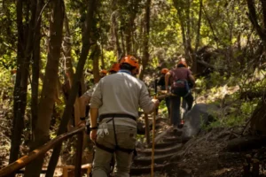 Cambio climático y su impacto en Chile