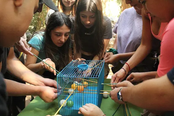 Cultura empresarial sostenible en 2026
