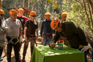 Impacto ambiental dentro de la cultura empresarial sostenible
