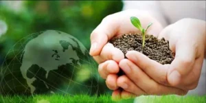 Práctica ambiental en la vida diaria: cómo adoptar hábitos más sostenibles
