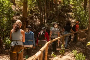 ¿Qué entendemos por impacto ambiental en Chile?