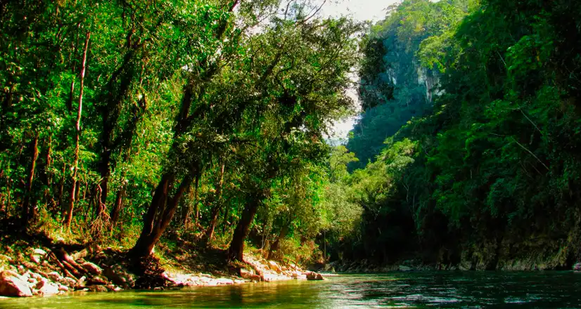 Qué son las áreas protegidas de la Amazonía