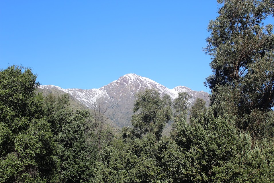15 recursos naturales en Chile