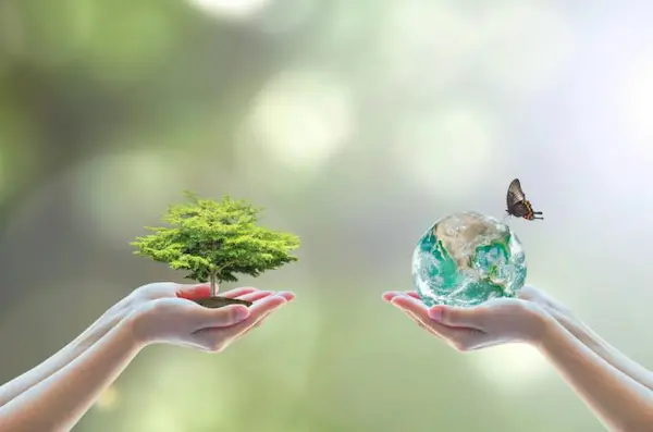 hábitat de los animales importancia global conservación naturaleza vida planeta