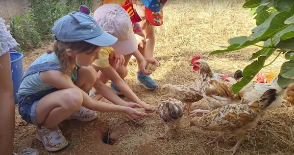 hábitat de los animales educación ambiental niños aprendizaje naturaleza