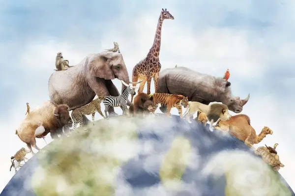 hábitat de los animales ecosistemas biodiversidad planeta naturaleza equilibrio