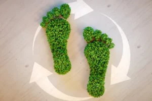 5 ejemplos de la huella ecológica en la vida cotidiana