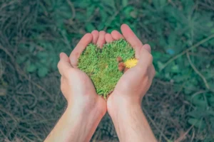 Pequeños cambios, gran impacto ambiental
